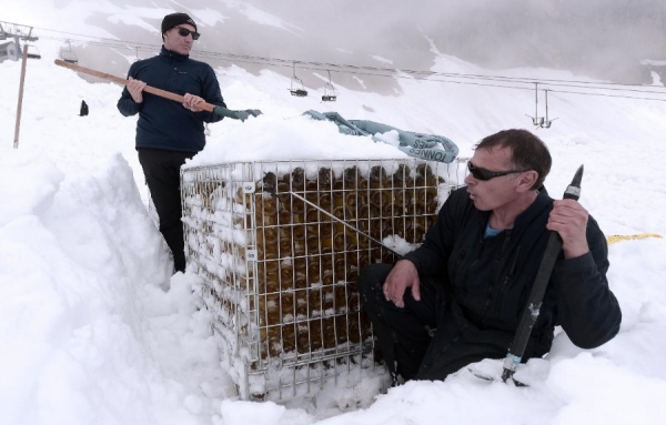 Du vin de Bordeaux enfoui sous la neige, à 2400 mètres d&#039;altitude