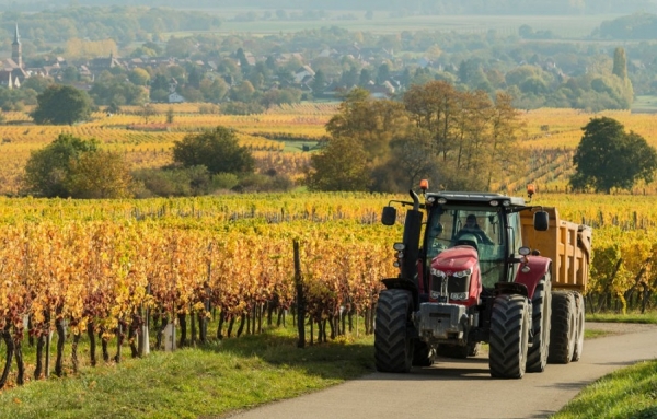 FRANCE - Les agriculteurs manifesteront la semaine prochaine