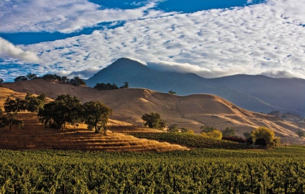 Le Festival des vins de Californie 2019, les 23 &amp; 24 avril prochains