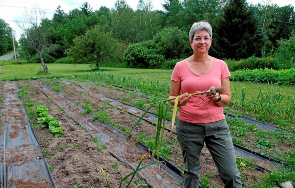Apr&egrave;s les vignes vol&eacute;es en France, place au vol de l'ail au Qu&eacute;bec