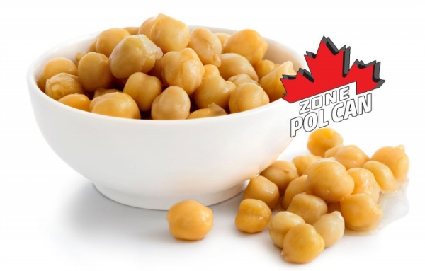 Le Canada le plus grand producteur de pois chiches au monde