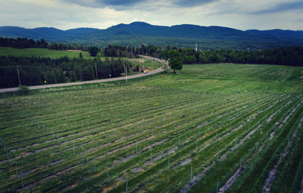 Un pour tous, tous pour un, avec Michel Robert et ses amis pour aider un collègue vinicole en détresse