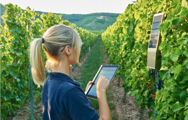 Elsa Morin est &agrave; la recherche d'un stage &eacute;tudiante en ma&icirc;trise, en laboratoire ou en industrie