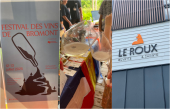 Le sympathique Festival des vins de Bromont!