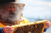 1re Journée mondiale des abeilles - Lancement de la 5e saison du Miel de Bonneau