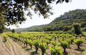 Découvrez les vins de l’AOC Lirac