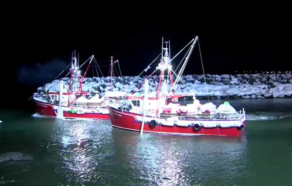 La saison de la pêche au crabe des neiges est lancée!
