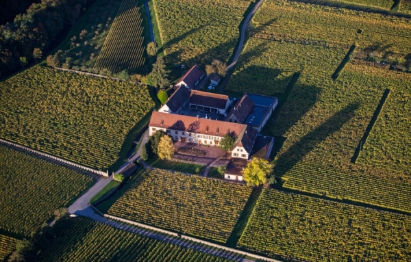 Le Domaine Weinbach, en Alsace