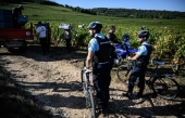 En Bourgogne, des gendarmes patrouillent jour et nuit durant les vendanges pour dissuader les voleurs de raisin