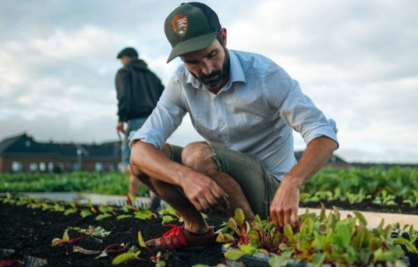 Visitez le plus grand potager biologique sur toit