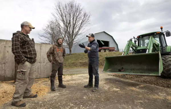 En Estrie, les chasseurs de cerfs de Virginie sont invités à chasser sur les terres des agriculteurs