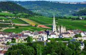 Nouveauté : Meursault Gathelier 2018, un vin d&#039;exception