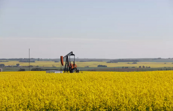Produisons-nous suffisamment d’aliments pour nourrir 8, 9 ou même 10 milliards de personnes sur la Terre? La réponse est oui.
