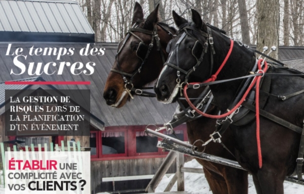 MERCI: Mariages, Événements, Réunions, Congrès, Incitatifs