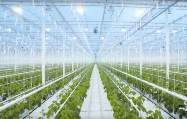 Une nouvelle technologie bientôt utilisées aux Serres Toundra: le CO2