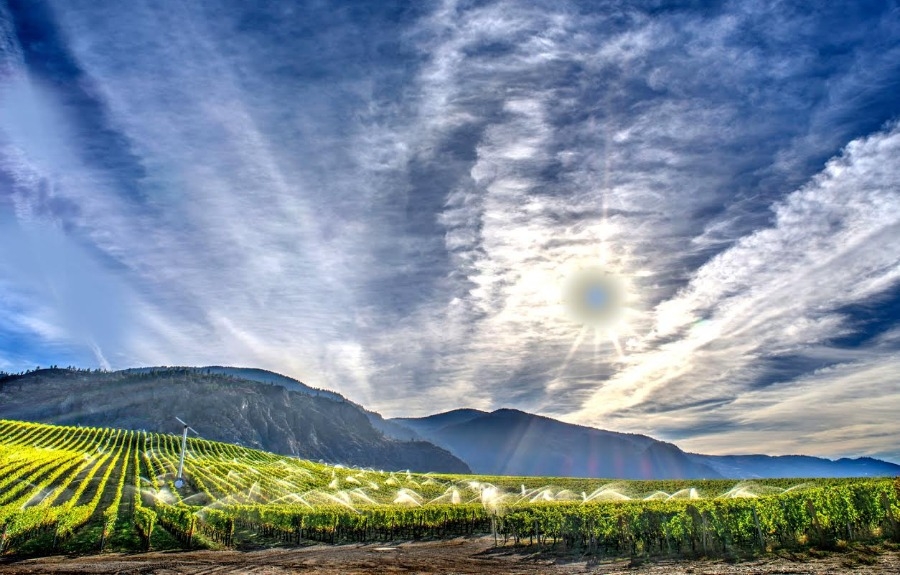 Sunrock Vineyards Shiraz 2015, un vin superbe de la Vallée de l’Okanagan