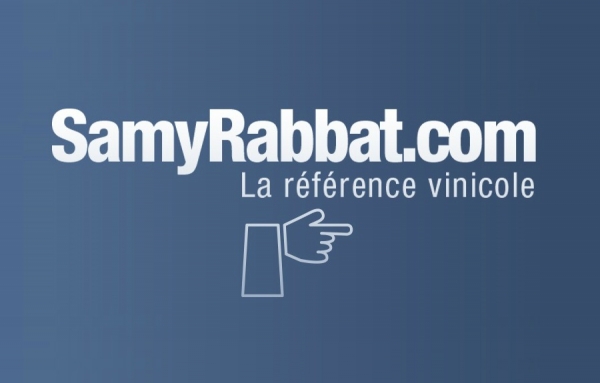 Les trois volets de la vie professionnelle de Samy Rabbat