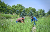 TRAVAILLEURS ÉTRANGERS | De plus en plus une nécessité pour l’agriculture régionale