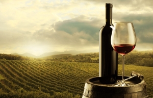 Le vignoble Ontarien béni des Dieux
