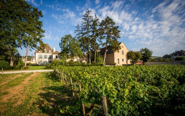 La Maison Bichot lance une gamme des cépages bourguignons en Languedoc