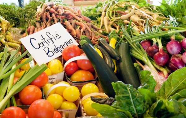 Politique bioalimentaire: &Eacute;tape 1: Cadre budg&eacute;taire