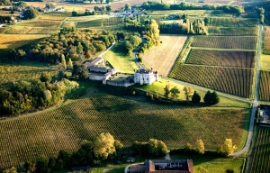 Des vins pour célébrer en grand!