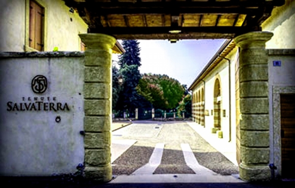 Pinot Grigio della Venezia 2017 de Tenute Salvaterra, un vin qui séduit