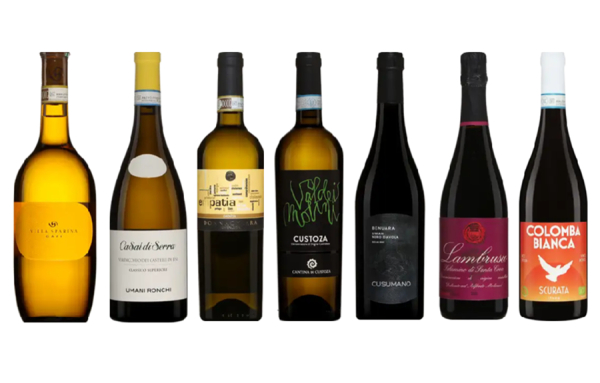 Une Dégustation de vins d’Italie 2025