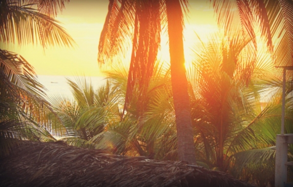 Raymond et Martin Rossignol en affaires au Salvador