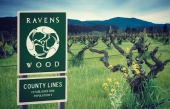 Ravenswood, des vins sans compromis