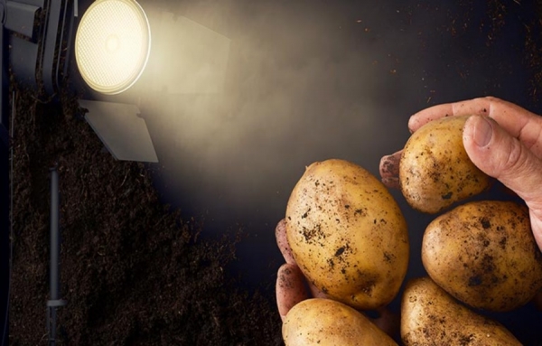 Conf&eacute;rence sensorielle - Patates en lumi&egrave;re!