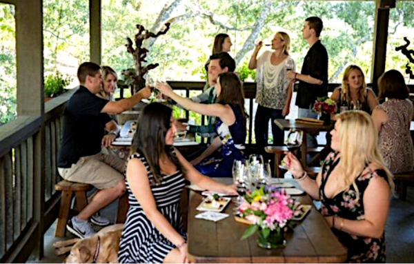 Les grands vins d’Alexander Valley Vineyards