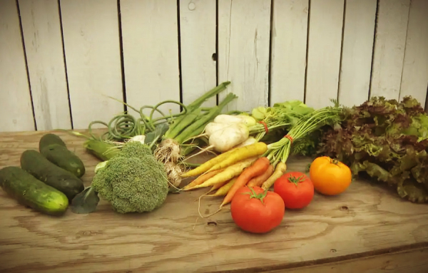 Les paniers de légumes biologiques ont la cote