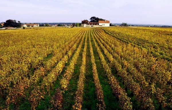 Bastide Miraflors 2015 IGP C&ocirc;tes Catalanes