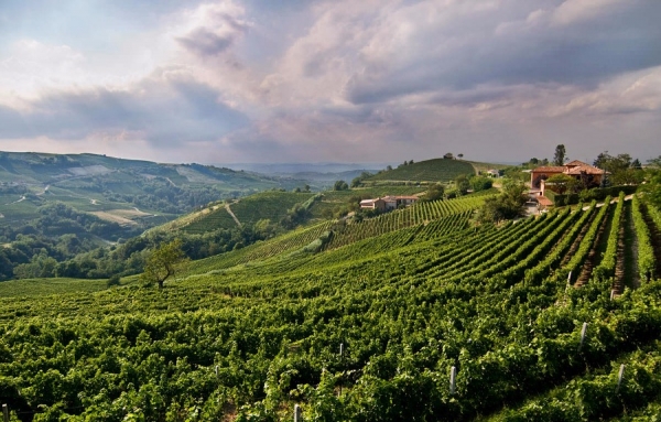Oltrepò Pavese (OP ci-dessous)… Quelle magnifique découverte!