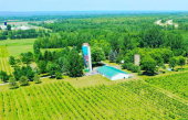 Daniel Picard en visite au vignoble de Vankleek Hill, en Ontario