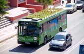 Des autobus au toit vert à Madrid
