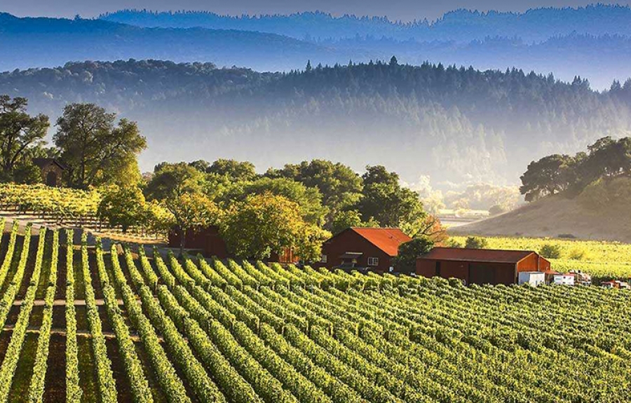 Festival des vins de Californie 2017