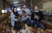 La première «maison de retraite» pour poules en France