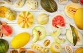 Le mythe et la réalité sur la manière de manger les différents melons