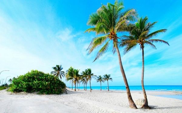 Une semaine de rêve à Cayo Santa Maria