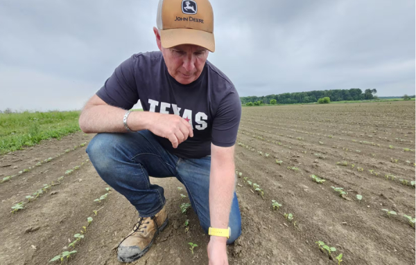 «La culture va disparaître»: il dénonce l’achat de légumes chinois par l’État