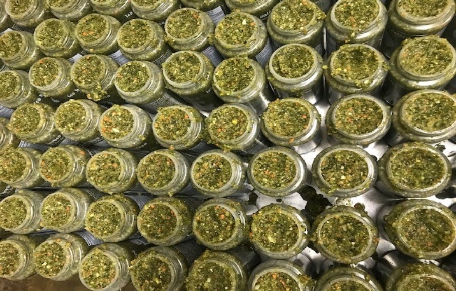 Les Herbes Salées du BasduFleuve dignes de faire partie de chaque cuisine de la planète Les Herbes Salées du BasduFleuve dignes de faire partie de chaque cuisine de la planète